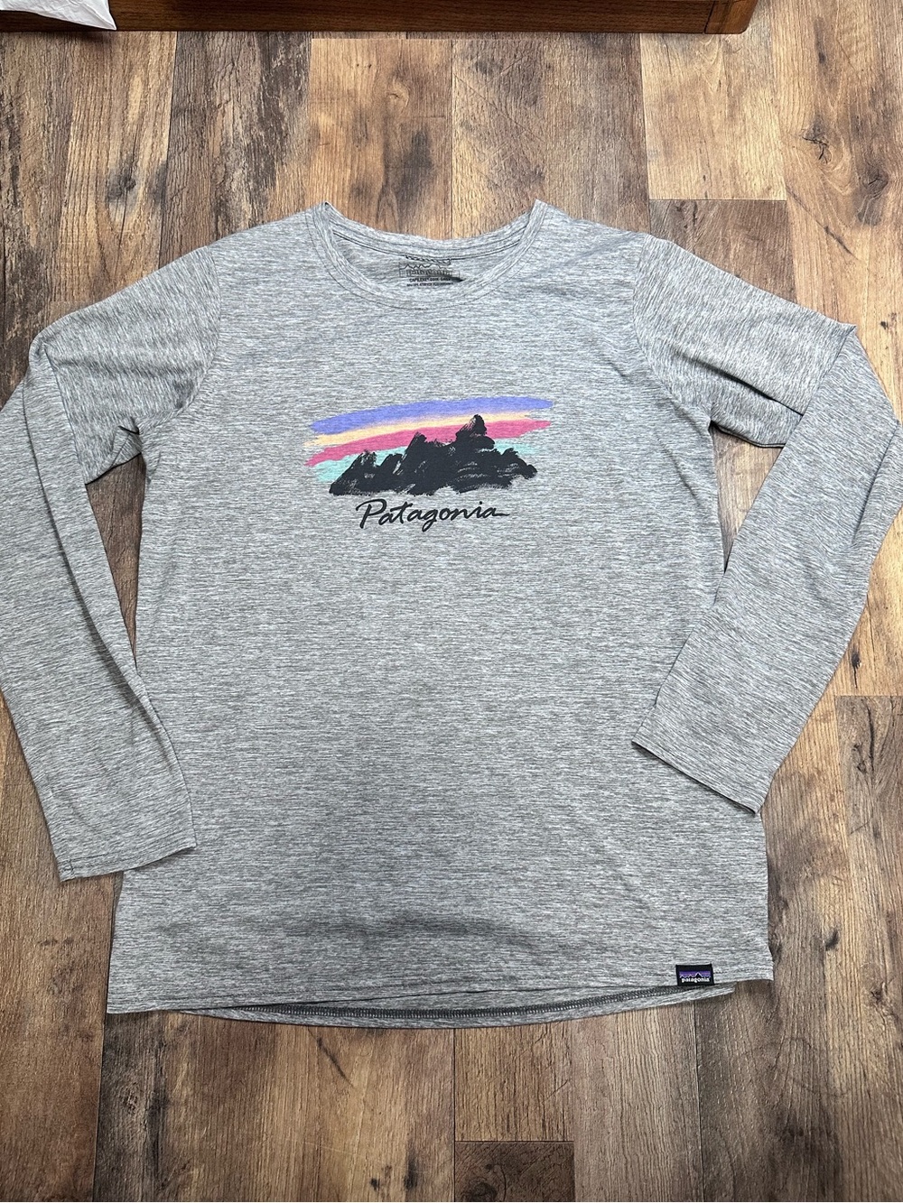 Patagonia Women’s Heather Gray Long-Sleeve Tee with Sunset Mountain Graphic